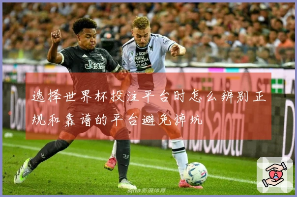 选择世界杯投注平台时怎么辨别正规和靠谱的平台避免掉坑