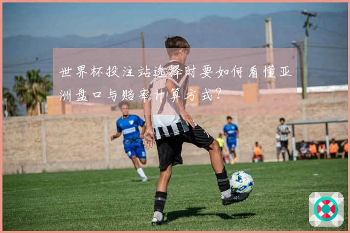 世界杯投注站选择时要如何看懂亚洲盘口与赔率计算方式？