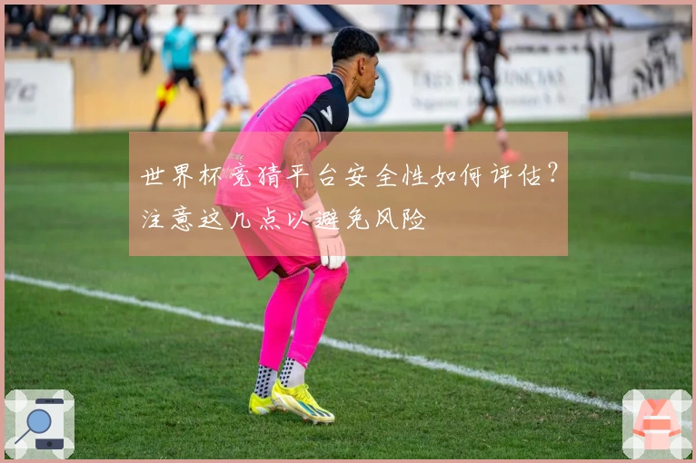 世界杯竞猜平台安全性如何评估？注意这几点以避免风险