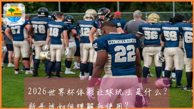 2026世界杯体彩让球玩法是什么？新手该如何理解和使用？
