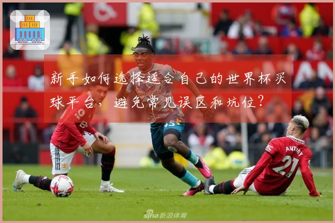 新手如何选择适合自己的世界杯买球平台，避免常见误区和坑位？