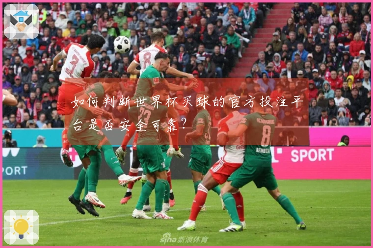 如何判断世界杯买球的官方投注平台是否安全可靠？