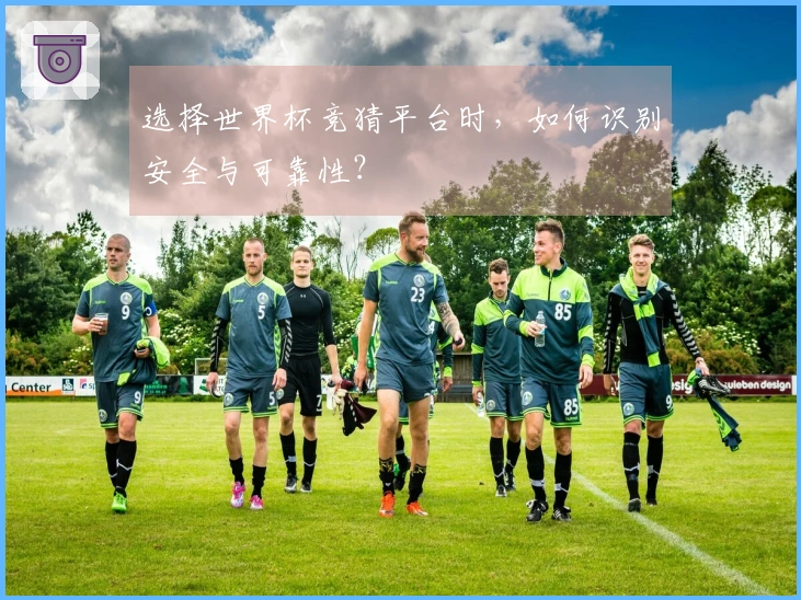 选择世界杯竞猜平台时，如何识别安全与可靠性？