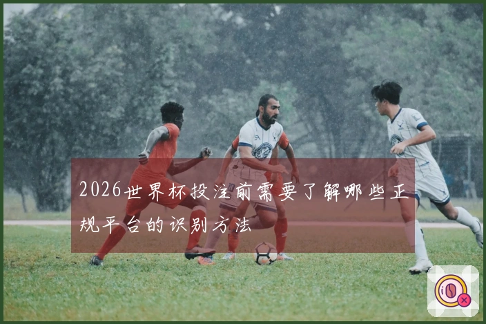 2026世界杯投注前需要了解哪些正规平台的识别方法