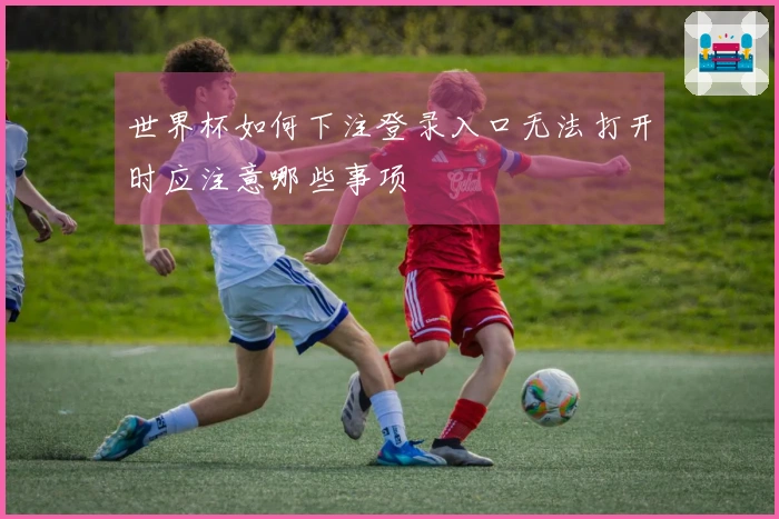 世界杯如何下注登录入口无法打开时应注意哪些事项