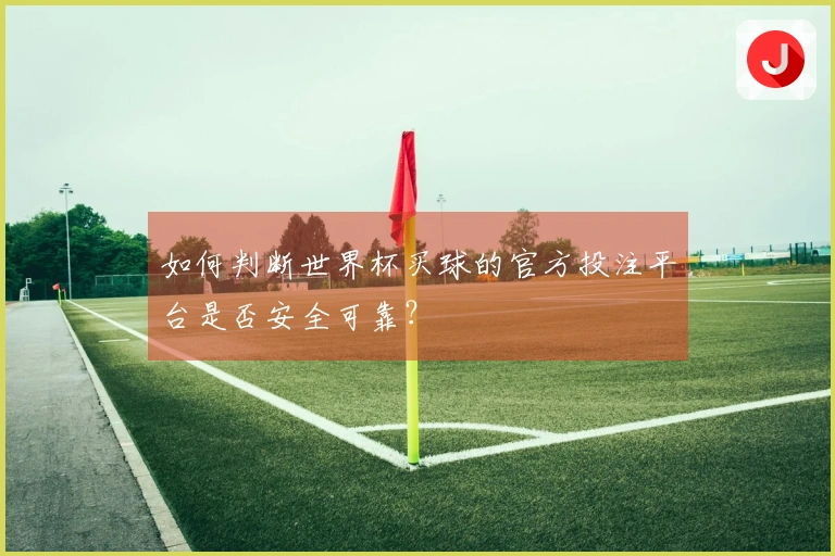 如何判断世界杯买球的官方投注平台是否安全可靠？