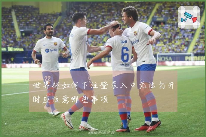 世界杯如何下注登录入口无法打开时应注意哪些事项