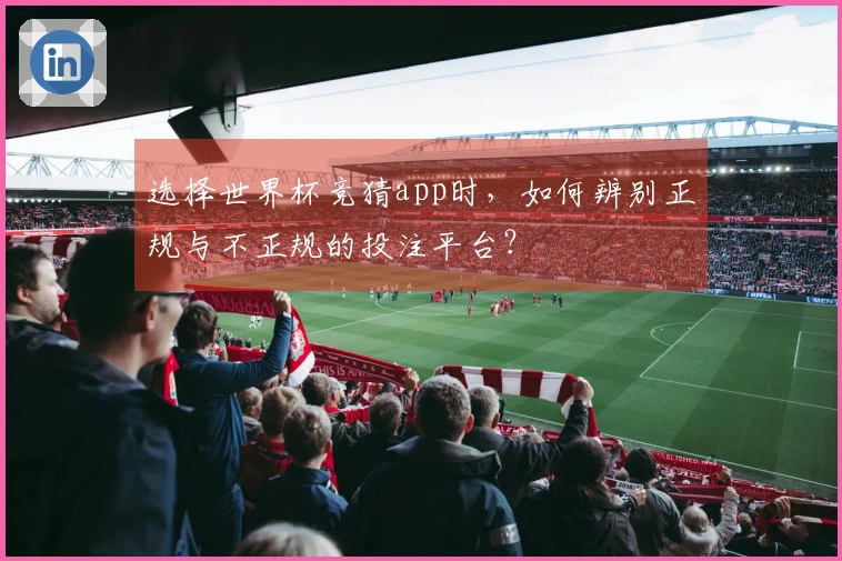 选择世界杯竞猜app时，如何辨别正规与不正规的投注平台？