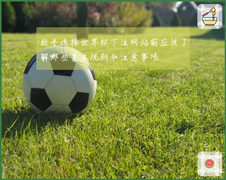 新手选择世界杯下注网站前应该了解哪些基本规则和注意事项