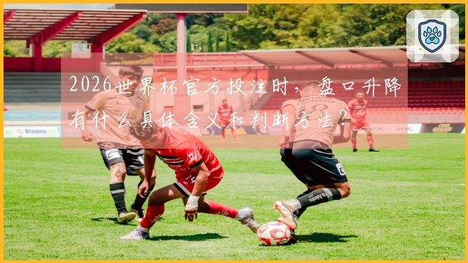 2026世界杯官方投注时，盘口升降有什么具体含义和判断方法？