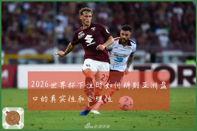 2026世界杯下注时如何辨别亚洲盘口的真实性和合理性