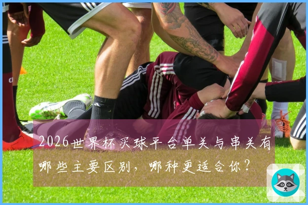 2026世界杯买球平台单关与串关有哪些主要区别，哪种更适合你？