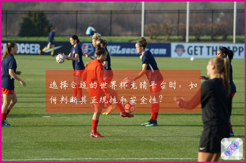 选择合适的世界杯竞猜平台时，如何判断其正规性和安全性？