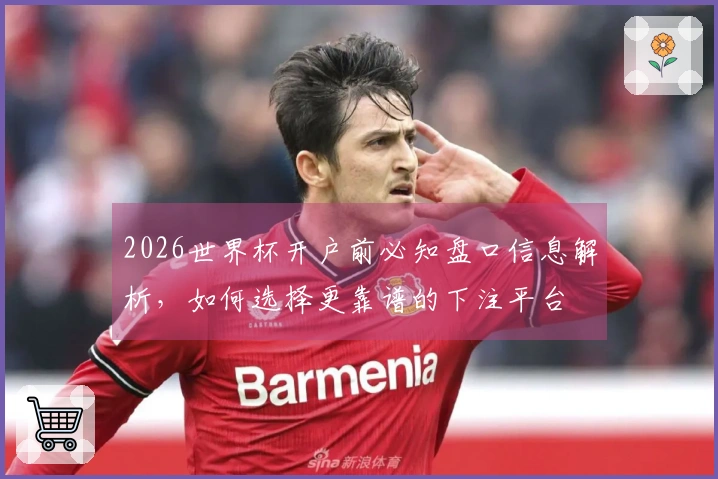 2026世界杯开户前必知盘口信息解析，如何选择更靠谱的下注平台