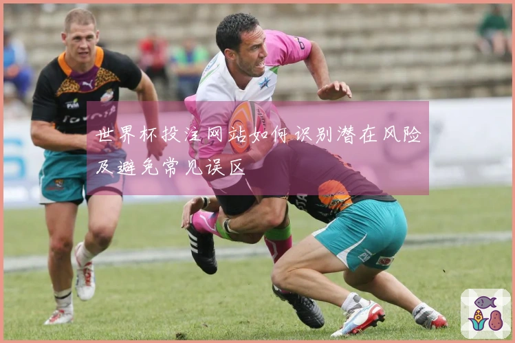 世界杯投注网站如何识别潜在风险及避免常见误区
