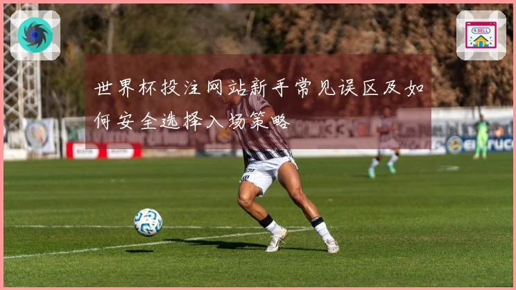 世界杯投注网站新手常见误区及如何安全选择入场策略