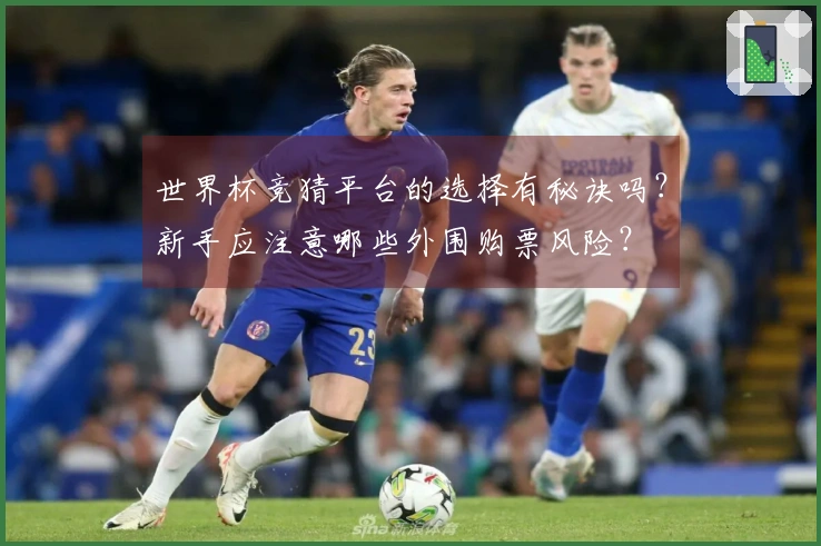 世界杯竞猜平台的选择有秘诀吗？新手应注意哪些外围购票风险？