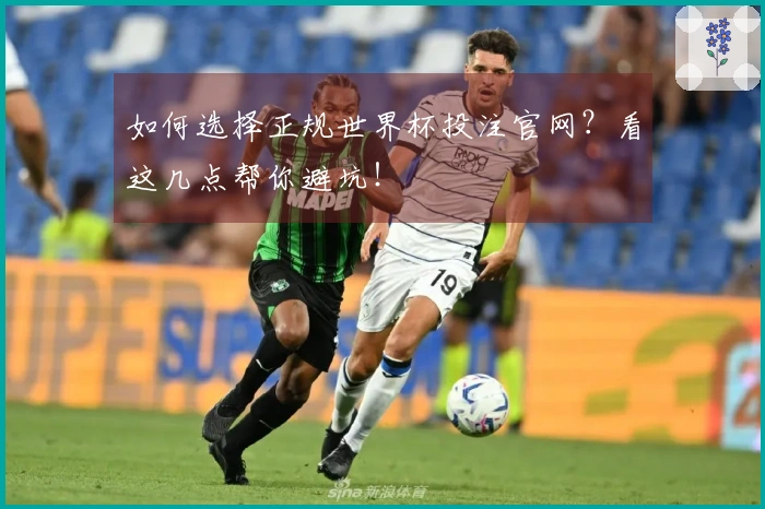 如何选择正规世界杯投注官网？看这几点帮你避坑！