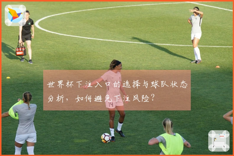 世界杯下注入口的选择与球队状态分析，如何避免下注风险？