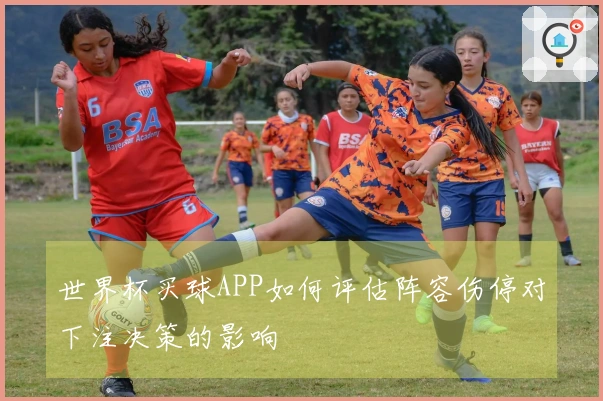 世界杯买球APP如何评估阵容伤停对下注决策的影响