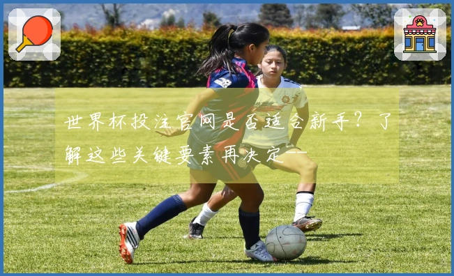 世界杯投注官网是否适合新手？了解这些关键要素再决定--