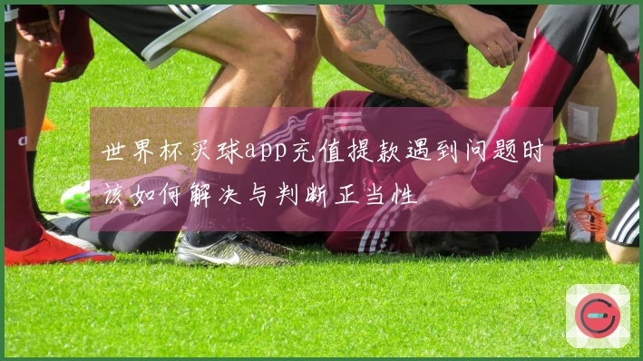 世界杯买球app充值提款遇到问题时该如何解决与判断正当性