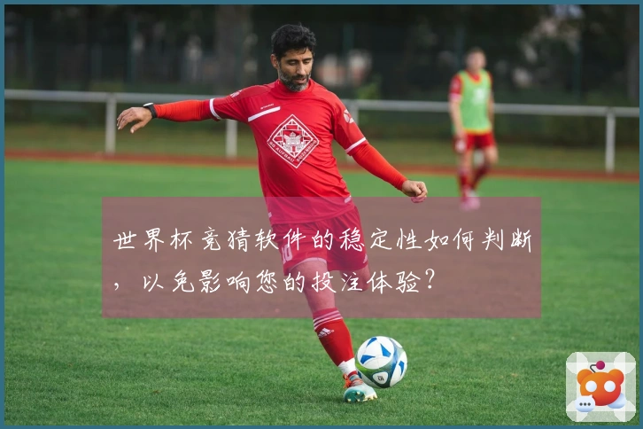 世界杯竞猜软件的稳定性如何判断，以免影响您的投注体验？