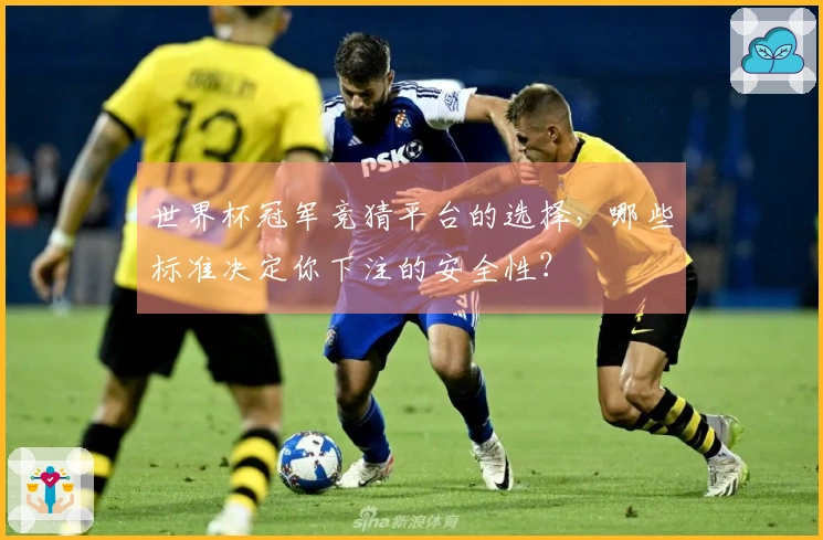 世界杯冠军竞猜平台的选择，哪些标准决定你下注的安全性？