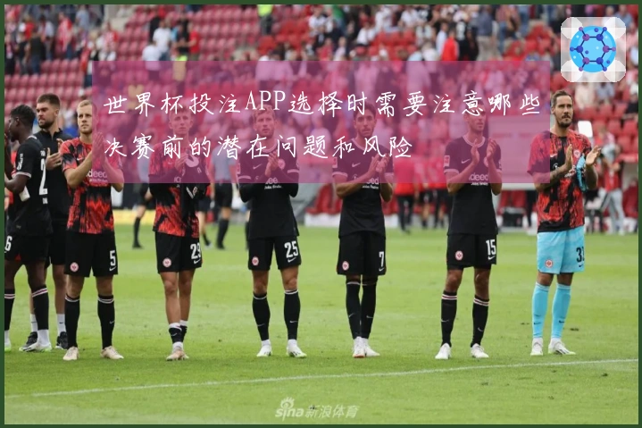 世界杯投注APP选择时需要注意哪些决赛前的潜在问题和风险
