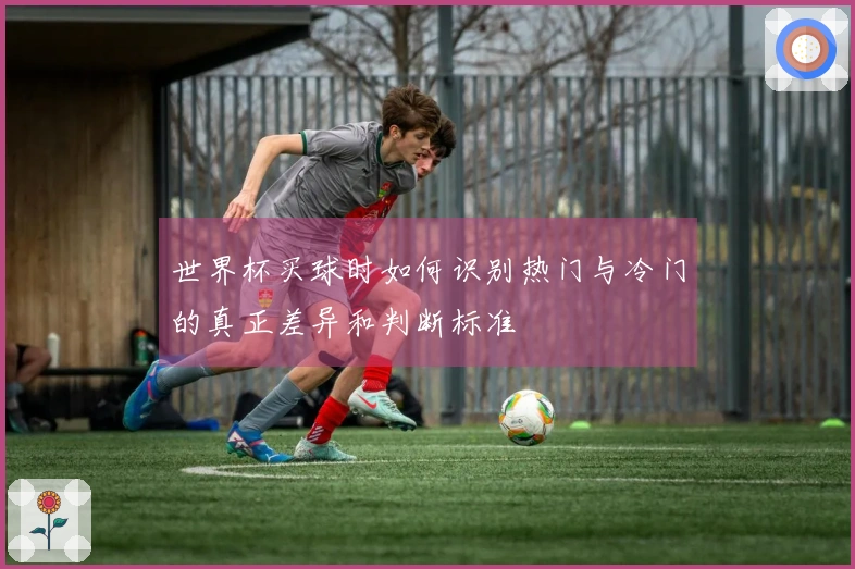 世界杯买球时如何识别热门与冷门的真正差异和判断标准