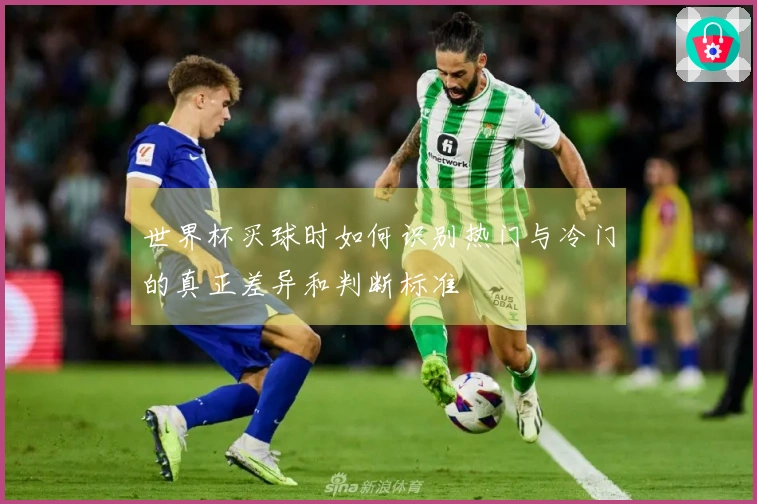 世界杯买球时如何识别热门与冷门的真正差异和判断标准