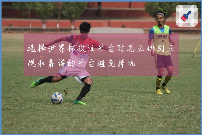 选择世界杯投注平台时怎么辨别正规和靠谱的平台避免掉坑