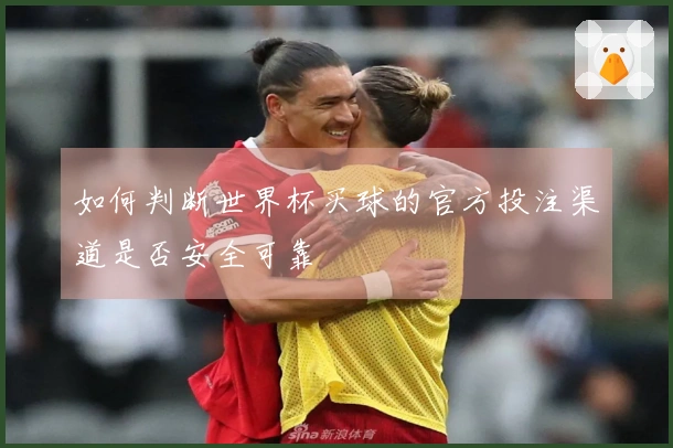 如何判断世界杯买球的官方投注渠道是否安全可靠