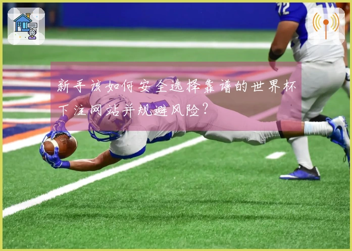 新手该如何安全选择靠谱的世界杯下注网站并规避风险？