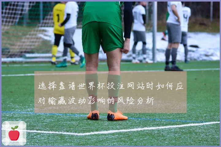 选择靠谱世界杯投注网站时如何应对输赢波动影响的风险分析