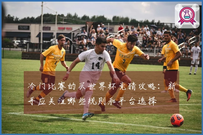 冷门比赛的买世界杯竞猜攻略：新手应关注哪些规则和平台选择