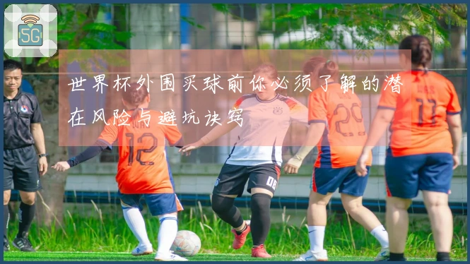 世界杯外围买球前你必须了解的潜在风险与避坑诀窍