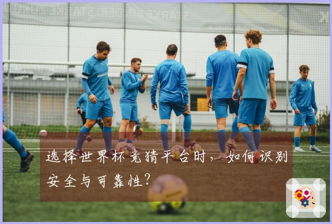 选择世界杯竞猜平台时，如何识别安全与可靠性？